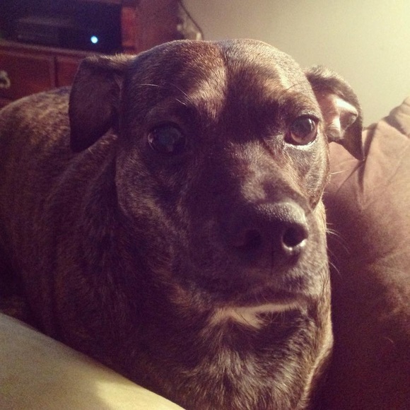 Meet your Posher, Fatime - Picture 1 of 1